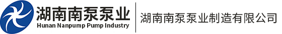 湖南双吸泵